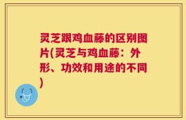 灵芝跟鸡血藤的区别图片(灵芝与鸡血藤：外形、功效和用途的不同)