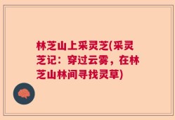 林芝山上采灵芝(采灵芝记：穿过云雾，在林芝山林间寻找灵草)