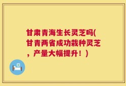 甘肃青海生长灵芝吗(甘青两省成功栽种灵芝，产量大幅提升！)