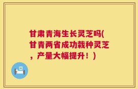 甘肃青海生长灵芝吗(甘青两省成功栽种灵芝，产量大幅提升！)