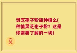 灵芝孢子粉能种植么(种植灵芝孢子粉？这是你需要了解的一切)