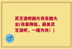 灵芝酒吧图片夜景图大全(夜幕降临，最美灵芝酒吧，一睹为快！)
