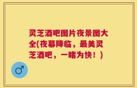 灵芝酒吧图片夜景图大全(夜幕降临，最美灵芝酒吧，一睹为快！)