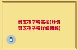 灵芝孢子粉实拍(珍贵灵芝孢子粉详细图解)