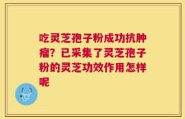 吃灵芝孢子粉成功抗肿瘤？已采集了灵芝孢子粉的灵芝功效作用怎样呢