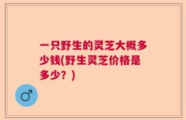 一只野生的灵芝大概多少钱(野生灵芝价格是多少？)