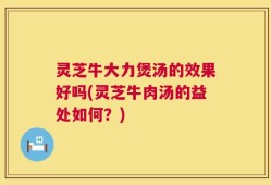 灵芝牛大力煲汤的效果好吗(灵芝牛肉汤的益处如何？)