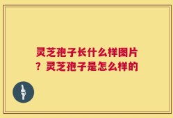 灵芝孢子长什么样图片？灵芝孢子是怎么样的