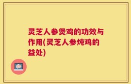 灵芝人参煲鸡的功效与作用(灵芝人参炖鸡的益处)