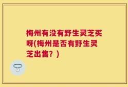 梅州有没有野生灵芝买呀(梅州是否有野生灵芝出售？)