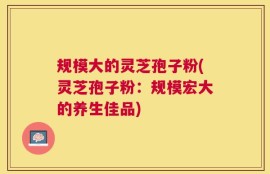 规模大的灵芝孢子粉(灵芝孢子粉：规模宏大的养生佳品)