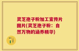 灵芝孢子粉加工宣传片图片(灵芝孢子粉：自然万物的涵养精华)