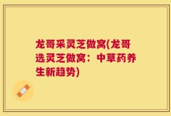 龙哥采灵芝做窝(龙哥选灵芝做窝：中草药养生新趋势)