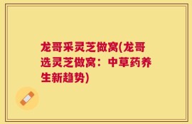 龙哥采灵芝做窝(龙哥选灵芝做窝：中草药养生新趋势)