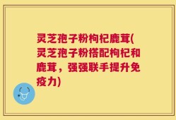 灵芝孢子粉枸杞鹿茸(灵芝孢子粉搭配枸杞和鹿茸，强强联手提升免疫力)