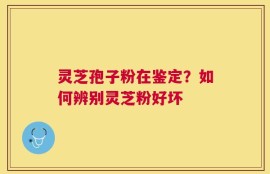 灵芝孢子粉在鉴定？如何辨别灵芝粉好坏