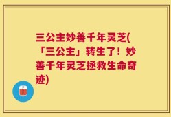 三公主妙善千年灵芝(「三公主」转生了！妙善千年灵芝拯救生命奇迹)