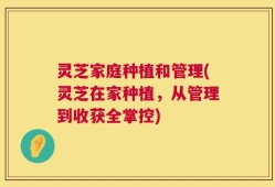 灵芝家庭种植和管理(灵芝在家种植，从管理到收获全掌控)