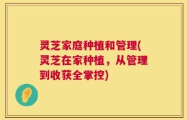 灵芝家庭种植和管理(灵芝在家种植，从管理到收获全掌控)