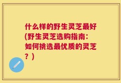 什么样的野生灵芝最好(野生灵芝选购指南：如何挑选最优质的灵芝？)