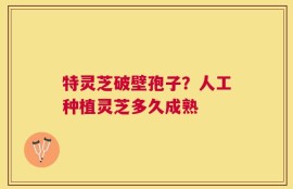 特灵芝破壁孢子？人工种植灵芝多久成熟