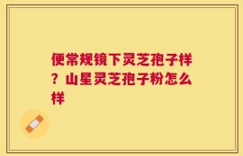 便常规镜下灵芝孢子样？山星灵芝孢子粉怎么样