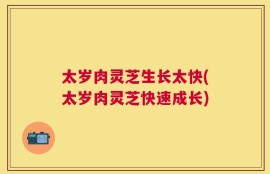 太岁肉灵芝生长太快(太岁肉灵芝快速成长)