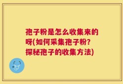 孢子粉是怎么收集来的呀(如何采集孢子粉？探秘孢子的收集方法)