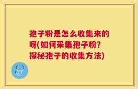 孢子粉是怎么收集来的呀(如何采集孢子粉？探秘孢子的收集方法)