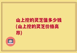 山上挖的灵芝值多少钱(山上挖的灵芝价格高昂)