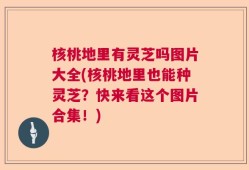 核桃地里有灵芝吗图片大全(核桃地里也能种灵芝？快来看这个图片合集！)