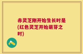赤灵芝刚开始生长时是(红色灵芝开始萌芽之时)