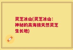 灵芝冰山(灵芝冰山：神秘的高海拔天然灵芝生长地)