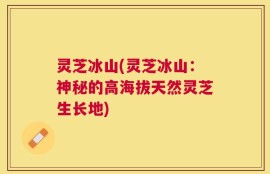 灵芝冰山(灵芝冰山：神秘的高海拔天然灵芝生长地)