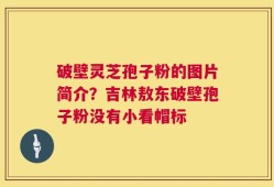 破壁灵芝孢子粉的图片简介？吉林敖东破壁孢子粉没有小看帽标