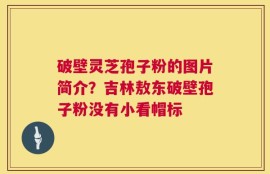 破壁灵芝孢子粉的图片简介？吉林敖东破壁孢子粉没有小看帽标