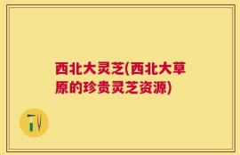 西北大灵芝(西北大草原的珍贵灵芝资源)