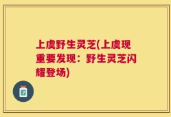 上虞野生灵芝(上虞现重要发现：野生灵芝闪耀登场)