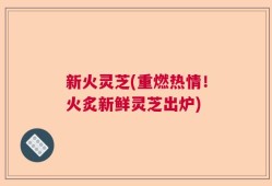 新火灵芝(重燃热情！火炙新鲜灵芝出炉)