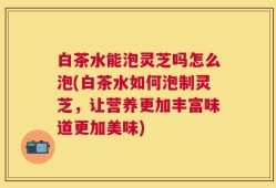白茶水能泡灵芝吗怎么泡(白茶水如何泡制灵芝，让营养更加丰富味道更加美味)