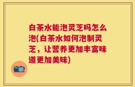 白茶水能泡灵芝吗怎么泡(白茶水如何泡制灵芝，让营养更加丰富味道更加美味)