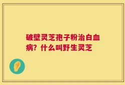 破壁灵芝孢子粉治白血病？什么叫野生灵芝