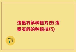 泼墨石斛种植方法(泼墨石斛的种植技巧)