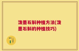 泼墨石斛种植方法(泼墨石斛的种植技巧)