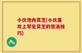 小伙泡肉灵芝(小伙喜欢上罕见灵芝的煲汤技巧)