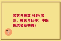 灵芝与黄芪 杜仲(灵芝、黄芪与杜仲：中医传统名草共舞)