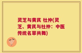 灵芝与黄芪 杜仲(灵芝、黄芪与杜仲：中医传统名草共舞)