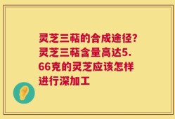 灵芝三萜的合成途径？灵芝三萜含量高达5.66克的灵芝应该怎样进行深加工
