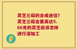 灵芝三萜的合成途径？灵芝三萜含量高达5.66克的灵芝应该怎样进行深加工