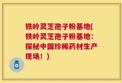 铁岭灵芝孢子粉基地(铁岭灵芝孢子粉基地：探秘中国珍稀药材生产现场！)